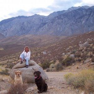 Meet your Posher, Kristin